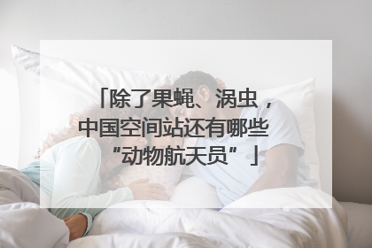除了果蝇、涡虫，中国空间站还有哪些“动物航天员”
