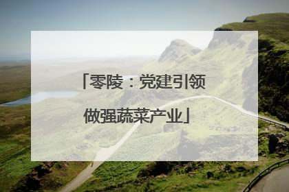 零陵：党建引领 做强蔬菜产业
