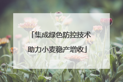 集成绿色防控技术助力小麦稳产增收