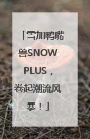 雪加鸭嘴兽SNOWPLUS，卷起潮流风暴！
