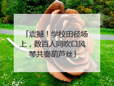 震撼！学校田径场上，数百人同吹口风琴共奏葫芦丝