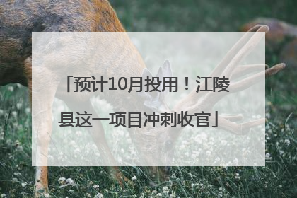 预计10月投用！江陵县这一项目冲刺收官