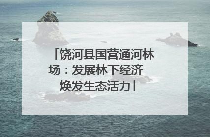 饶河县国营通河林场：发展林下经济 焕发生态活力