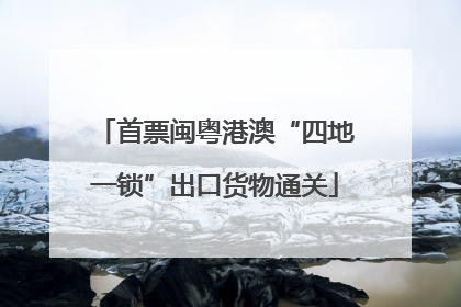 首票闽粤港澳“四地一锁”出口货物通关