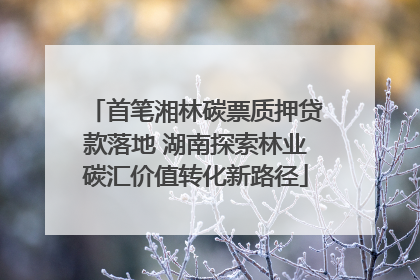首笔湘林碳票质押贷款落地 湖南探索林业碳汇价值转化新路径
