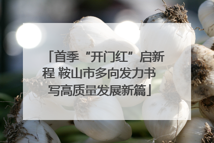 首季“开门红”启新程 鞍山市多向发力书写高质量发展新篇
