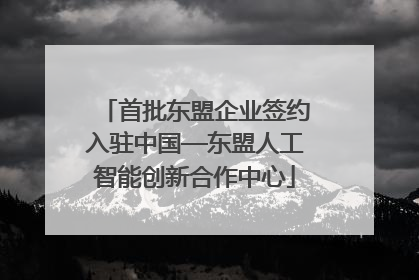 首批东盟企业签约入驻中国—东盟人工智能创新合作中心