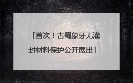 首次！古蜀象牙无灌封材料保护公开展出