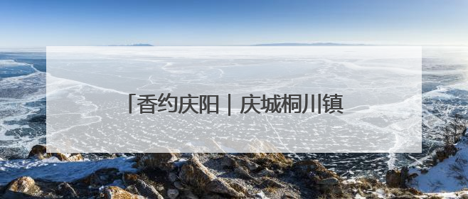香约庆阳｜庆城桐川镇：创新求变 让“小苹果”做成“大产业”