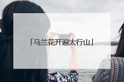 马兰花开遍太行山
