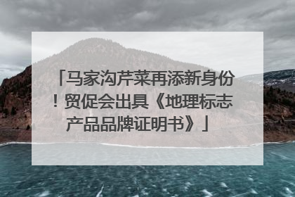 马家沟芹菜再添新身份！贸促会出具《地理标志产品品牌证明书》