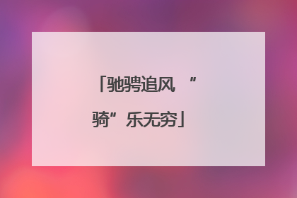 驰骋追风 “骑”乐无穷