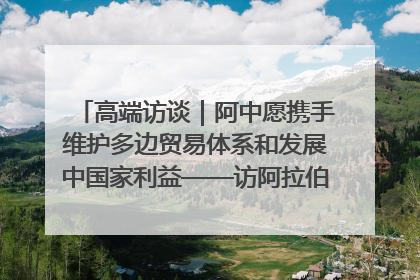 高端访谈｜阿中愿携手维护多边贸易体系和发展中国家利益——访阿拉伯议会议长亚马希