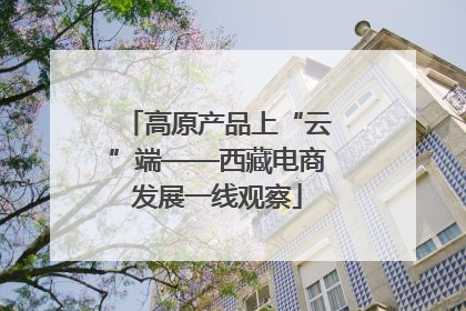 高原产品上“云”端——西藏电商发展一线观察