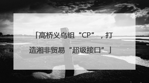 高桥义乌组“CP”，打造湘非贸易“超级接口”