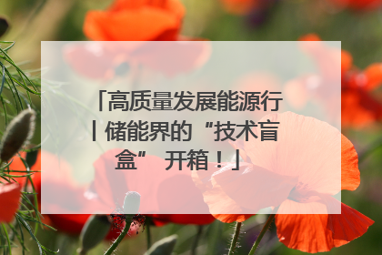 高质量发展能源行丨储能界的“技术盲盒” 开箱！