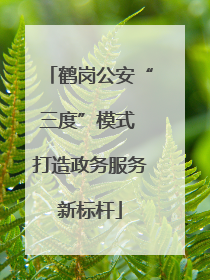 鹤岗公安“三度”模式 打造政务服务新标杆