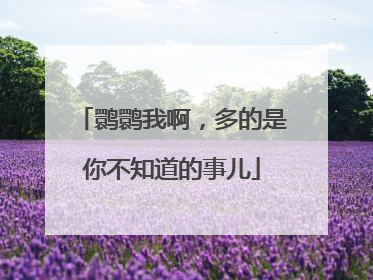 鹮鹮我啊，多的是你不知道的事儿