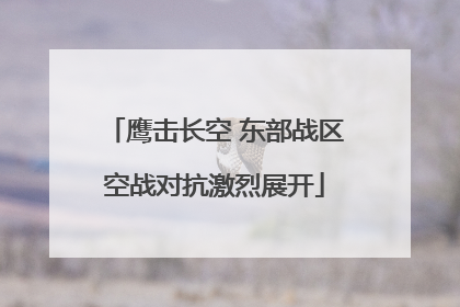 鹰击长空 东部战区空战对抗激烈展开