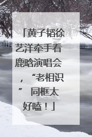 黄子韬徐艺洋牵手看鹿晗演唱会，“老相识” 同框太好嗑！