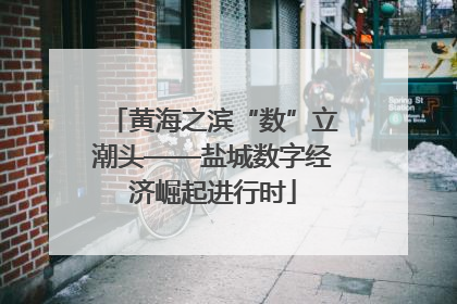 黄海之滨“数”立潮头——盐城数字经济崛起进行时
