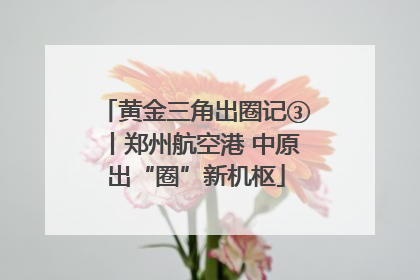 黄金三角出圈记③丨郑州航空港 中原出“圈”新机枢