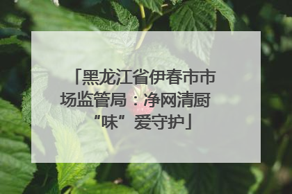 黑龙江省伊春市市场监管局：净网清厨 “味”爱守护