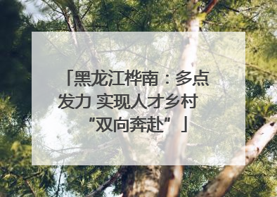 黑龙江桦南：多点发力 实现人才乡村“双向奔赴”