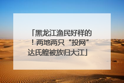黑龙江渔民好样的！两地两只“投网”达氏鳇被放归大江