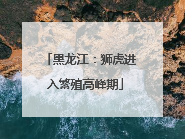 黑龙江：狮虎进入繁殖高峰期