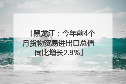 黑龙江：今年前4个月货物贸易进出口总值同比增长2.9%