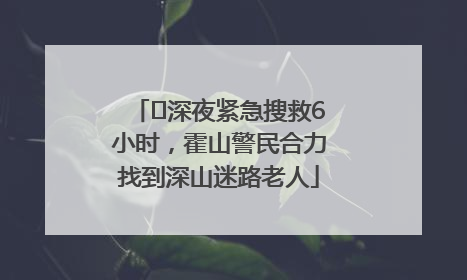 ﻿深夜紧急搜救6小时，霍山警民合力找到深山迷路老人