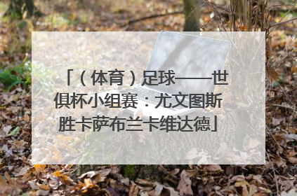 （体育）足球——世俱杯小组赛：尤文图斯胜卡萨布兰卡维达德