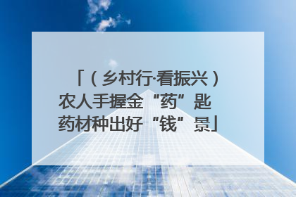 （乡村行·看振兴）农人手握金“药”匙 药材种出好“钱”景