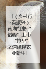 （乡村行·看振兴）南湖红菱“错峰”上市 “抢早”之道诠释农业新生