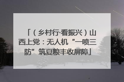（乡村行·看振兴）山西上党：无人机“一喷三防”筑夏粮丰收屏障