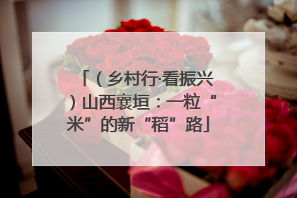 （乡村行·看振兴）山西襄垣：一粒“米”的新“稻”路