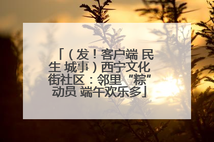 （发！客户端 民生 城事）西宁文化街社区：邻里“粽”动员 端午欢乐多