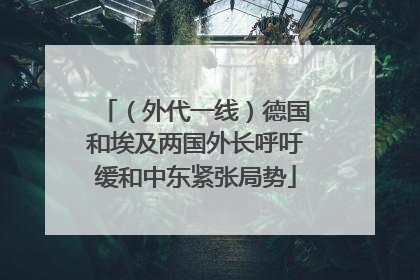 （外代一线）德国和埃及两国外长呼吁缓和中东紧张局势