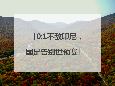 0:1不敌印尼，国足告别世预赛