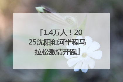 1.4万人！2025沈阳和河半程马拉松激情开跑