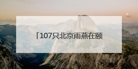 107只北京雨燕在颐和园完成年度“体检”