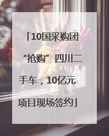 10国采购团“抢购”四川二手车，10亿元项目现场签约