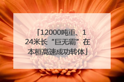 12000吨重、124米长“巨无霸”在本桓高速成功转体