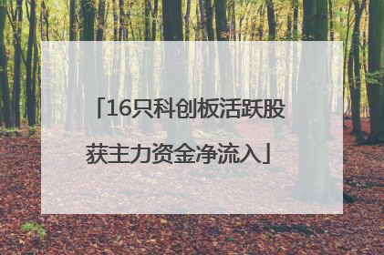 16只科创板活跃股获主力资金净流入
