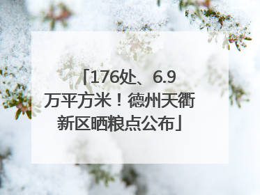176处、6.9万平方米！德州天衢新区晒粮点公布