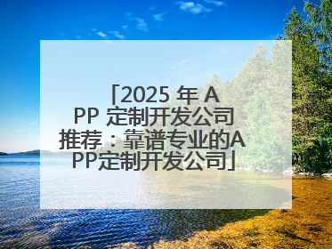 2025 年 APP 定制开发公司推荐：靠谱专业的APP定制开发公司