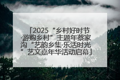2025“乡村好时节·游购乡村”主题年蔡家沟“艺韵乡集·乐活时光”艺文嘉年华活动启幕