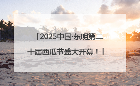 2025中国·东明第二十届西瓜节盛大开幕！
