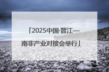 2025中国·晋江—南非产业对接会举行